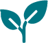 ecológico libre de bpa sin residuos tóxicos