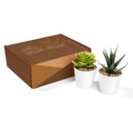 Set de plantas aliso, artículos de merchandising empresarial para combinar con otros artículos