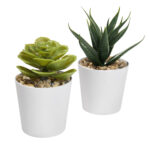 Modelos sensacionales de regalos corporativos con estilo empresarial, set de plantas aliso blanco