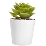 Regalos promocionales diseñados para mantener tu marca presente, set de plantas aliso blanco