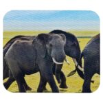 Soluciones en productos promocionales para campañas, regalos o eventos, mouse pad rectangular blanco