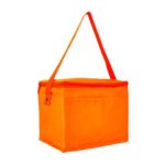 Artículos promocionales con logística eficiente y atención personalizada en méxico, hielera kosta naranja