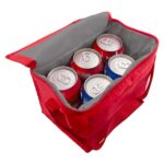 Línea práctica de merchandising empresarial con variedad de estilos, hielera kosta rojo