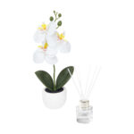 Línea extendida de merchandising empresarial para uso rudo, set decorativo fiora blanco