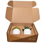 Artículos para regalos publicitarios que mantienen buen estilo con tu empresa, set de plantas aliso blanco