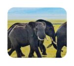 Mouse pad rectangular blanco, artículos promocionales que distinguen tu marca corporativa