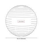 PELOTA DE PILATES WELLNESS - Imagen 4
