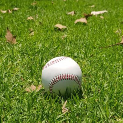 Diseños simples en artículos promocionales con resultados de calidad pelota koufax
